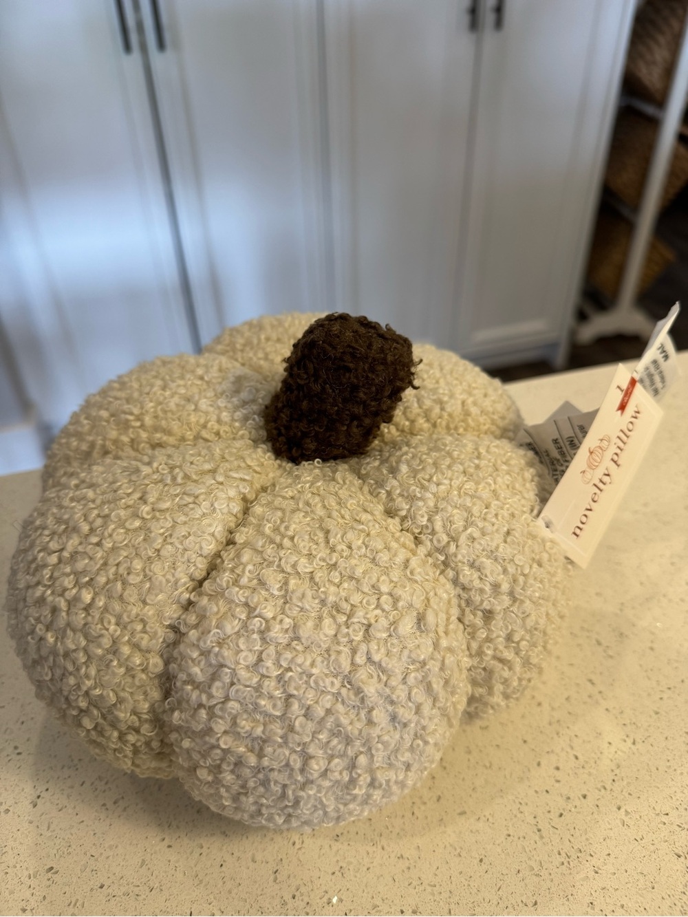 2/$15 Novelty Pumpkin Pillow - Cream with Brown Stem